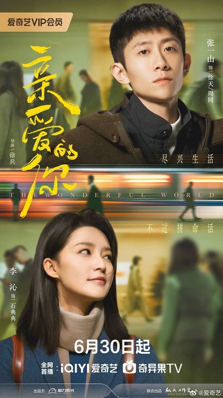 The-Wonderful-World-poster-C-drama
