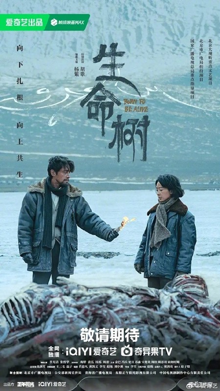 Yang Zi and Hu Ge Born to Be Alive poster