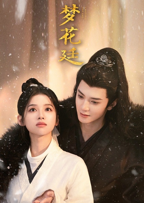 Chasing dreams official poster