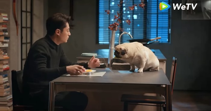 Why is he still single cdrama